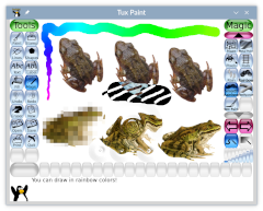 Screenshot of Tux Paint with a set of frogs, with different sizes of blocky, water ripple, and negative color effects applied to them, and a rainbow strokes of different thicknesses.