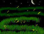View this gallery image