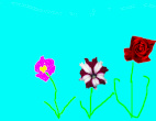 Next gallery image