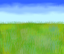 Next gallery image