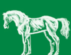 Previous gallery image